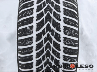 Dunlop SP Winter Sport 4D
