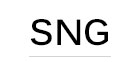 Ssang Yong